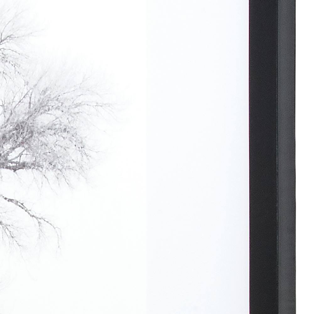 Winter's Morning Fog Black and White Framed Print