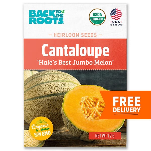 Organic Hale's Best Jumbo Melon Cantaloupe Seed (1-Pack)