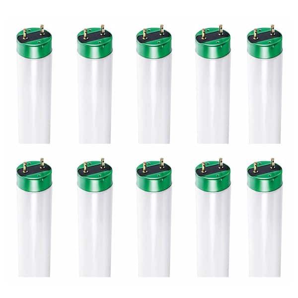 32-Watt 4 ft. Alto Linear T8 Fluorescent Tube Light Bulb, Cool White (4100K) (70-Pack)