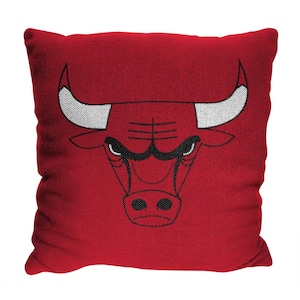 NBA Invert Chicago Bulls 2Pk Double Sided Jacquard Pillow