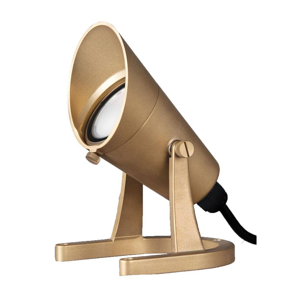 Natural Brass LED Underwater Spotlight