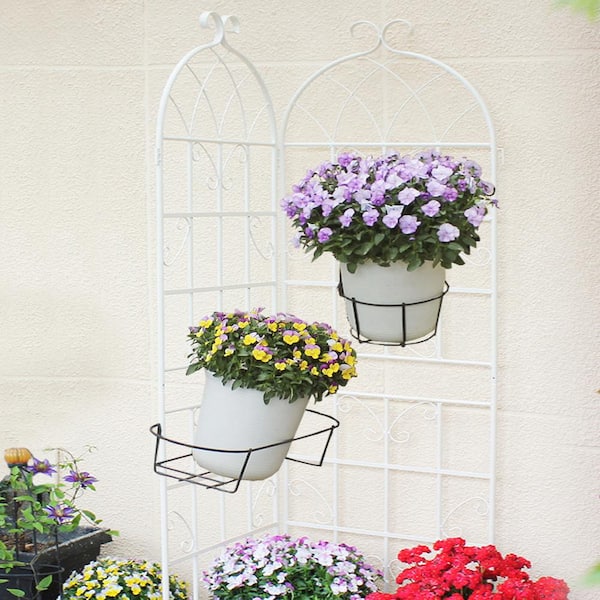 ToolCat 71 in. x 19.7 in. Metal Garden Trellis Rustproof Outdoor Flower Support for Climbing Plants, Cream White (4-Pack)