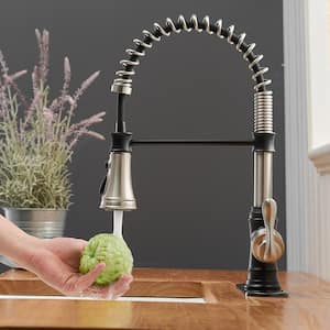 Commercial Spring Single Handle Pull-Down Sprayer Kitchen Faucet with Shield Spray and Deck Plate in Black&Nickel