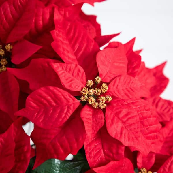 19 in. Red Lush Poinsettia Artificial Arrangement in Red Wrapped Planter