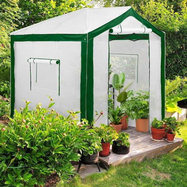 EAGLE PEAK 8 ft. W x 8 ft. D Portable Walk-in Pop-Up Instant Outdoor Gardening Greenhouse, Green/white
