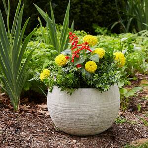 Unearthed Large 16 in. x 11 in. 24 qt. Fiberglass Bowl Indoor/Outdoor Planter