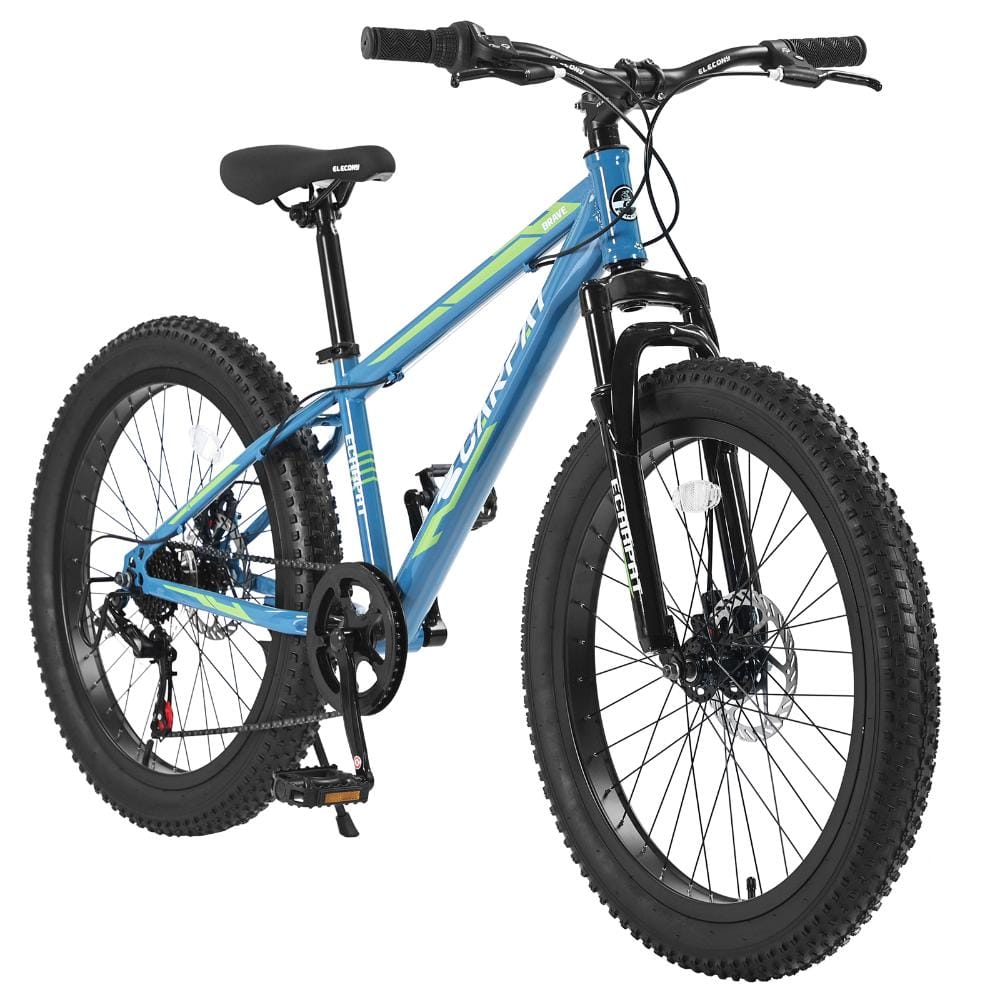 24 Inch Fat Tire Mountain Bike, Shimano 7 Speed, Dual Disc Brake, High-Carbon Steel Frame, Front Suspension price history on PriceWatchPro