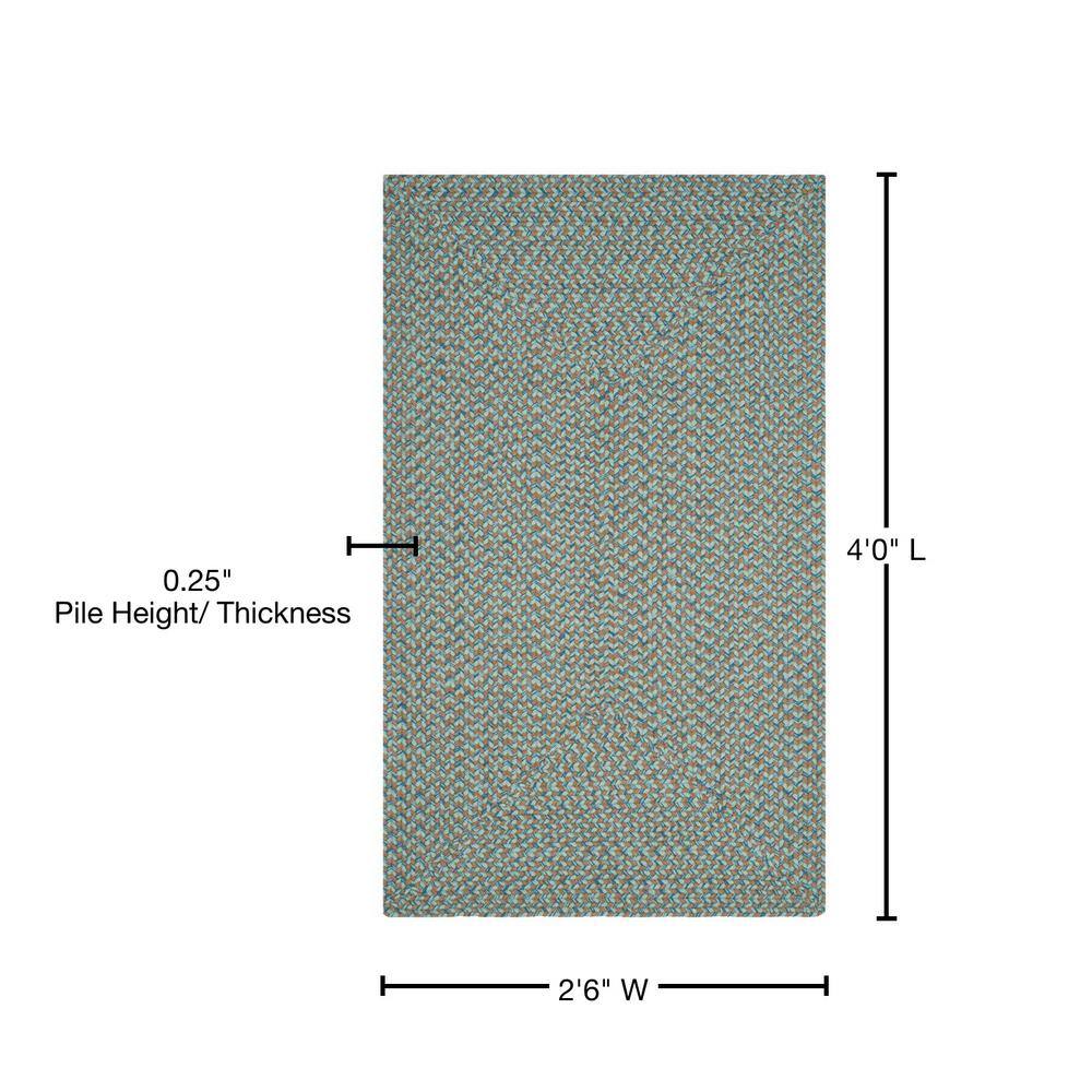 Gray and Multi Braided Cotton Reversible Area Rug