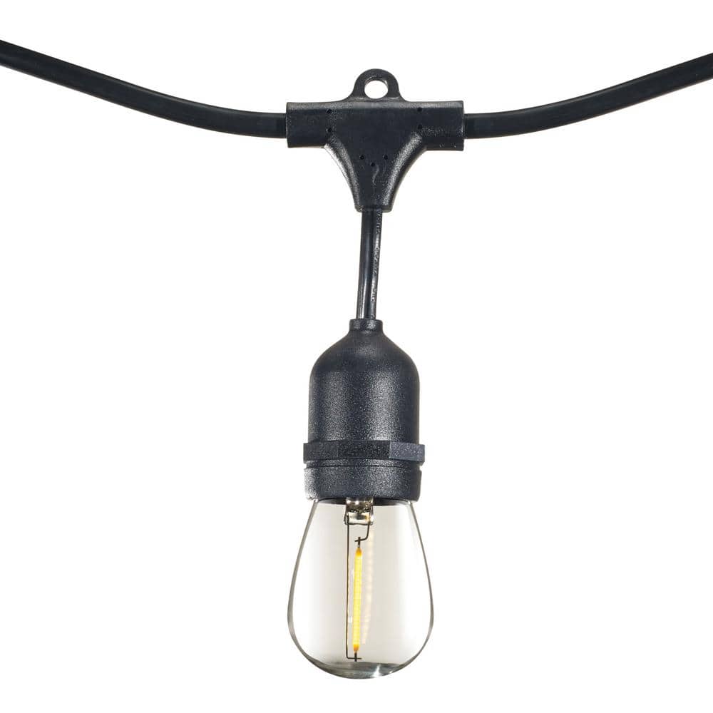 48-ft Black LED String Lights with Clear Shatter Resistant Bulbs