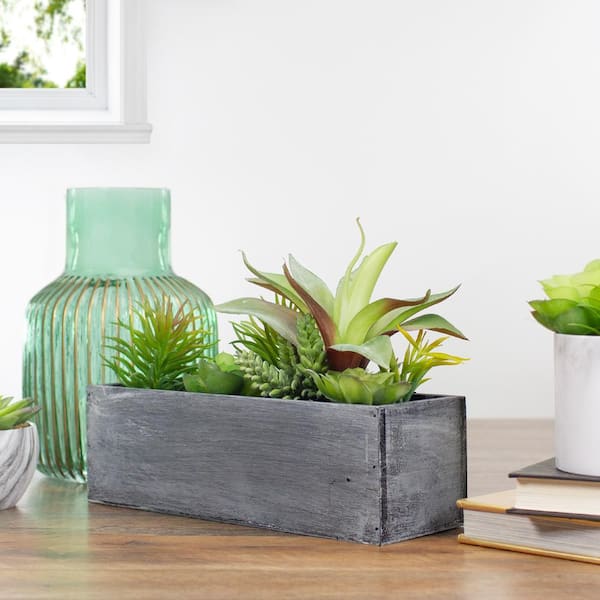 Faux Succulents And store Air Plant In White Textured Container