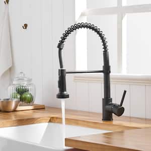 Stainless Steel Faucet Single-Handle Faucet Pull-Down Sprayer Kitchen Faucet Black