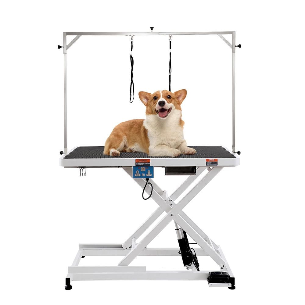 White Adjustable Stainless Steel Electric Pet Grooming Table