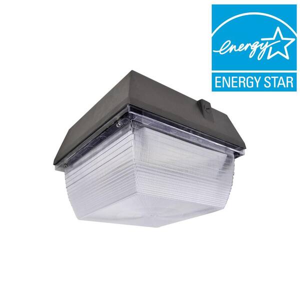 ATG Electronics 60-Watt Outdoor Black LED Canopy Light with Natural White (5000K)