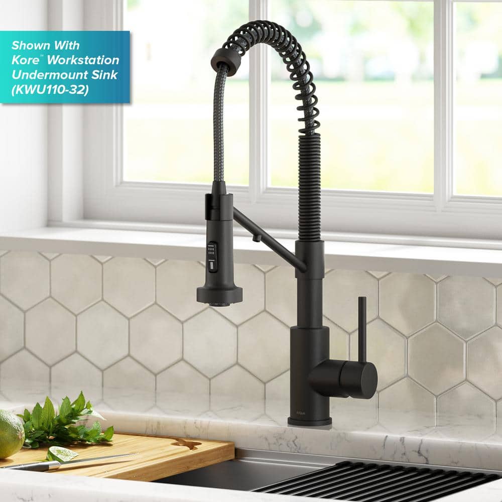 Matte Black 2-in-1 Pull-Down Kitchen Faucet with Water Filter