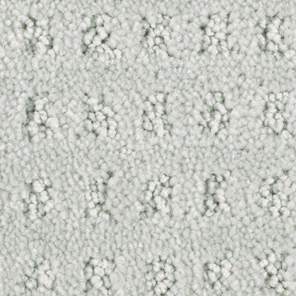 8 in. x 8 in. Texture Carpet Sample - Canter -Color Shadywood price history on PriceWatchPro