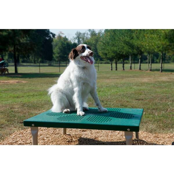 BarkPark Dog Agility Paws Grooming Table, Green/Beige