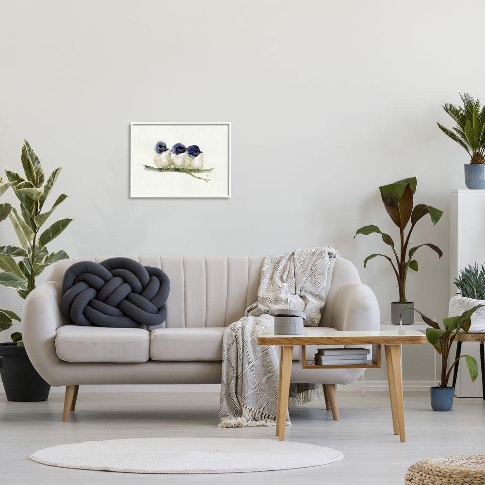 White Framed Trio of Baby Swallows Canvas Print