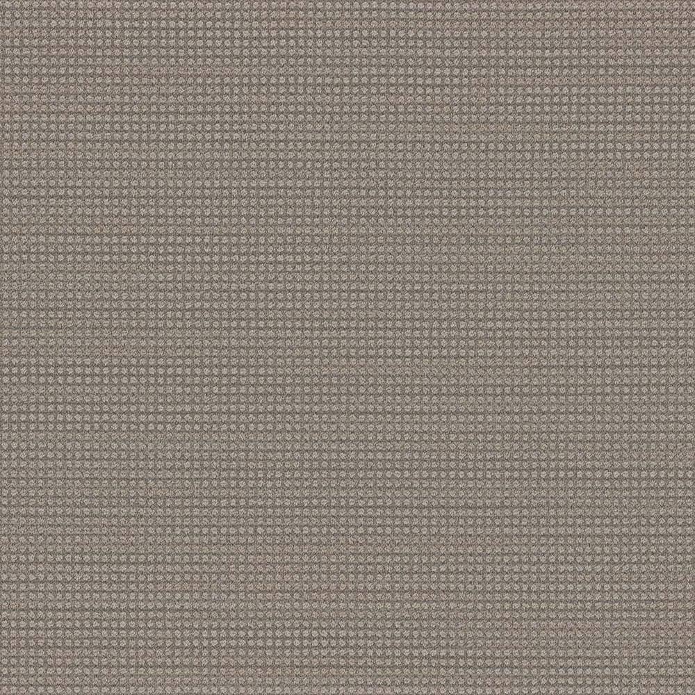 8 in. x  8 in. Loop Carpet Sample - Thornbrook -Color Elite price history on PriceWatchPro