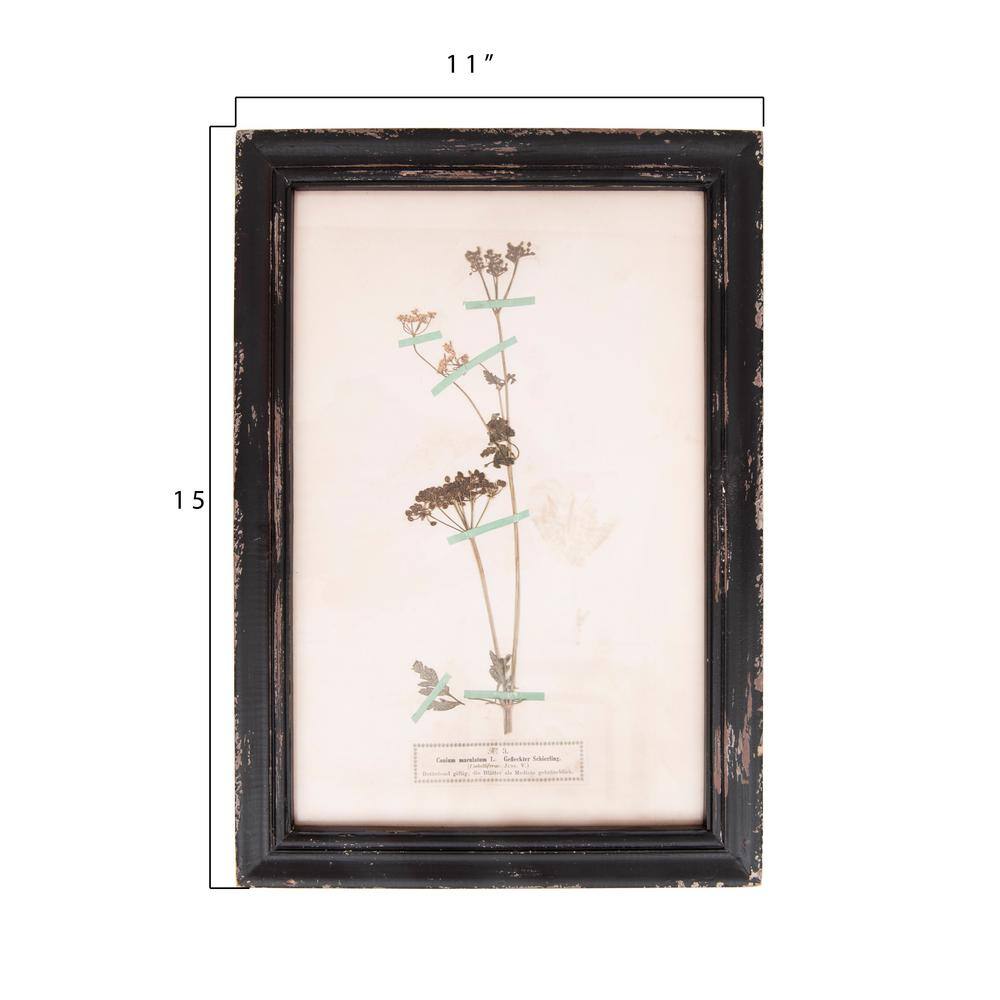 Distressed Black Wood Framed Botanical Wall Plaques Set of 16
