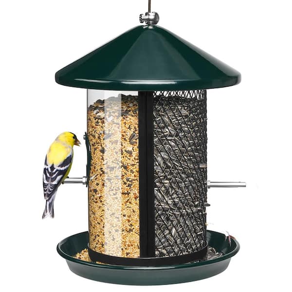Misopily Comfortable Green Metal Hanging Multiple Bird Species Seed Feeder - 4 lbs. (1-Pack)