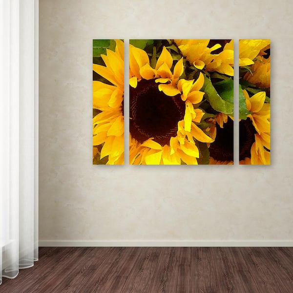 Trademark Fine Art 24 in. x 32 in. Sunflowers by Amy Vangsgard Printed  Canvas Wall Art AV0033-3PC-SET-SM - The Home Depot