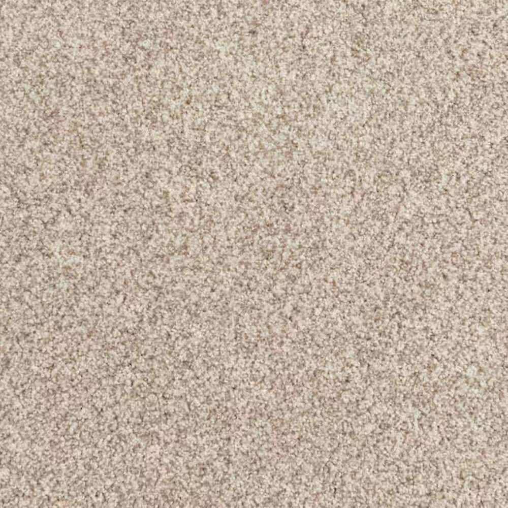 8 in. x 8 in. Texture Carpet Sample-Heartfelt Fashion-Color Haven price history on PriceWatchPro