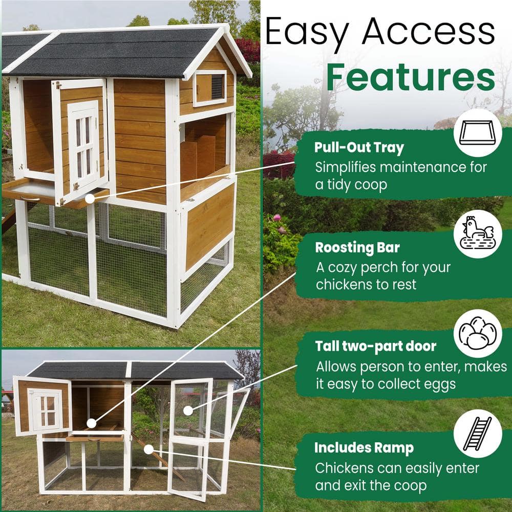 Large White and Brown Wooden Chicken Coop with Asphalt Roof
