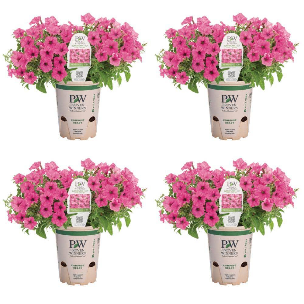 PROVEN WINNERS 4.25 in. Eco Plus Grande, Supertunia Mini Vista Hot