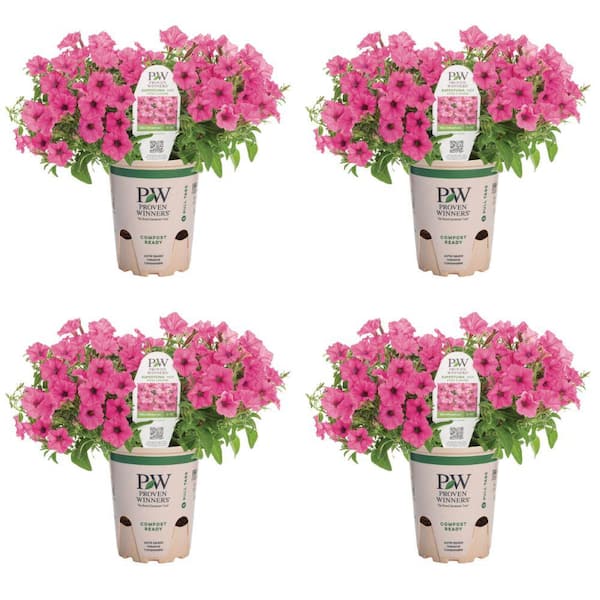 PROVEN WINNERS 4.25 in. Eco Plus Grande, Supertunia Mini Vista Hot Pink (Petunia), Live Annual Plant, with Pink Flowers (4-Pack)