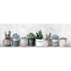 ''Row of Succulents'' by Parvez Taj Unframed Canvas Nature Art Print 15 in. x 45 in.