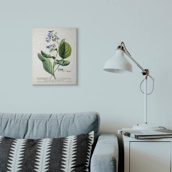 Stupell Industries 16 In X 20 Botanical Plant Ilration Blue Flowers Vintage Design By Unknown Canvas Wall Art Fap 215 Cn 16x20 The Home Depot Botanical Plant Ilration