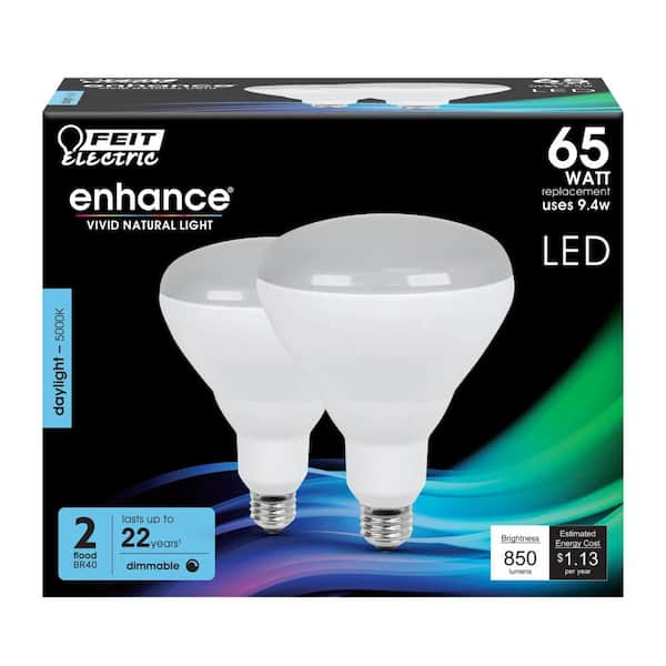65-Watt Equivalent BR40 Dimmable 90+ CRI Recessed CEC Title 20 E26 Flood LED Light Bulb, Daylight 5000K (2-Pack)