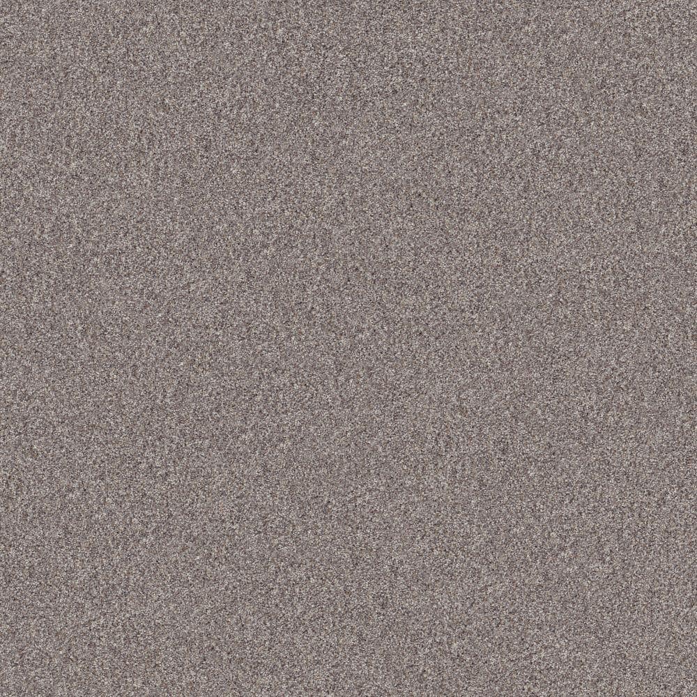 8 in. x 8 in. Texture Carpet Sample - Cherry on Top II - Color Night Air price history on PriceWatchPro