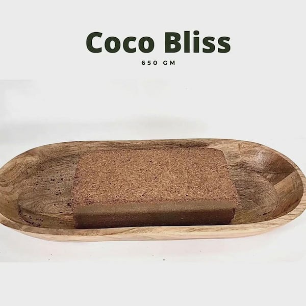Solo Coco Pure Coconut Soap Bar