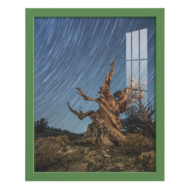 Wexford Home Modern 11 in. x 14 in. Green Picture Frame