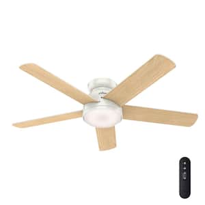 Romulus 54 in. Integrated LED Indoor Fresh White Low Profile Ceiling Fan with Light Kit and Remote Control