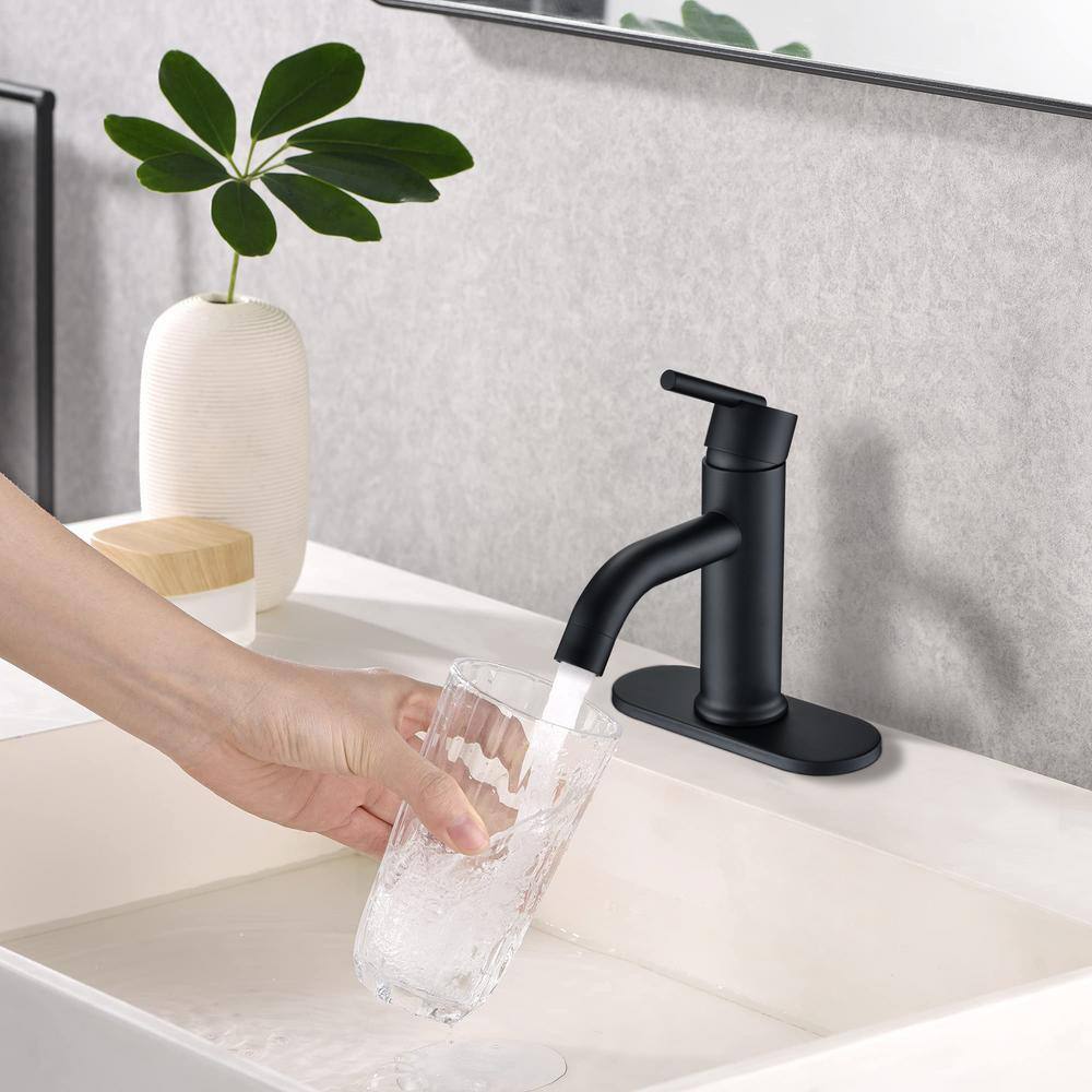 Matte Black Single Handle Stainless Steel Bathroom Faucet