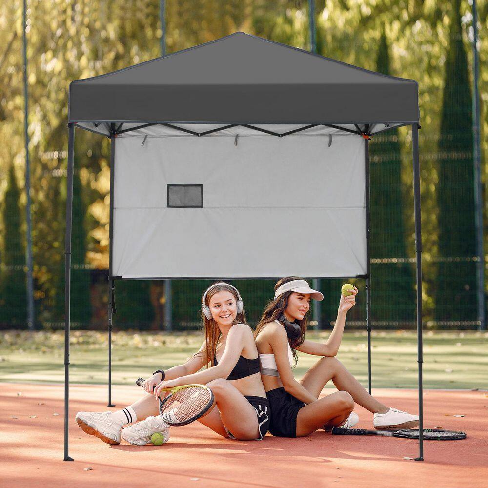 6 ft. x 4 ft. Instant Pop Up Canopy with Sun Wall price history on PriceWatchPro