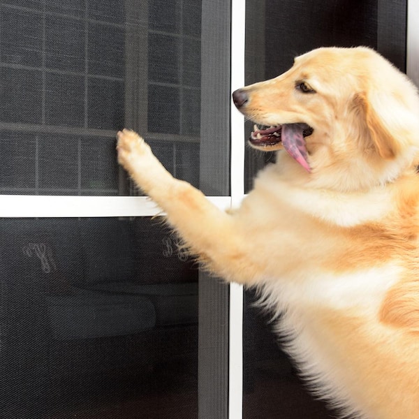 Pet screen clearance at home depot