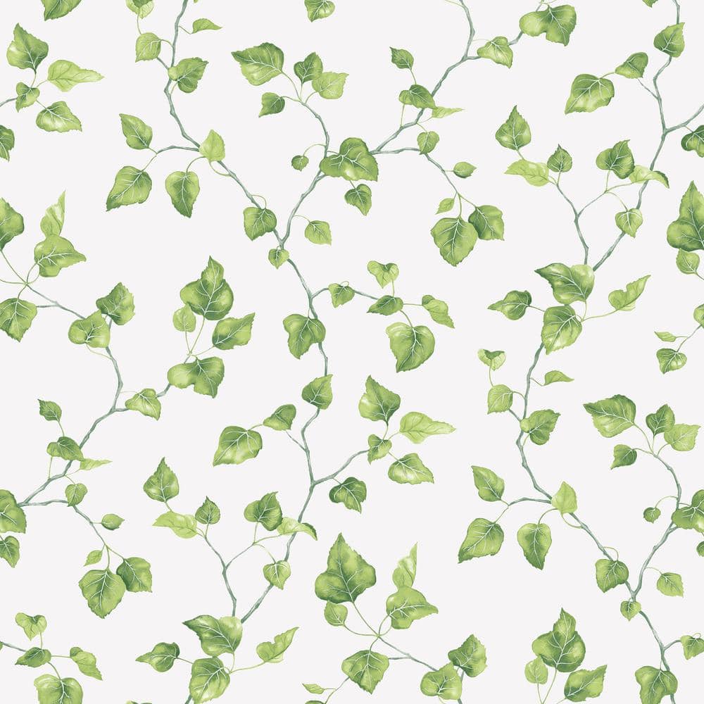 Just Ivy Green/White Matte Finish Vinyl on Non-Woven Non-Pasted Wallpaper R