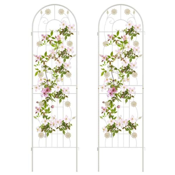 71 in. x 20 in. White Metal Arch Garden Trellis Decorative for Climbing Plants (2-Pack)