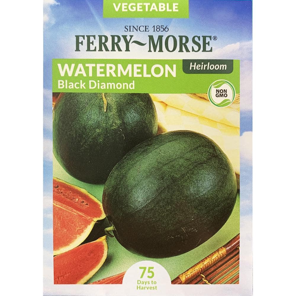 Heirloom Roquette Arugula Seeds – Ferry-Morse