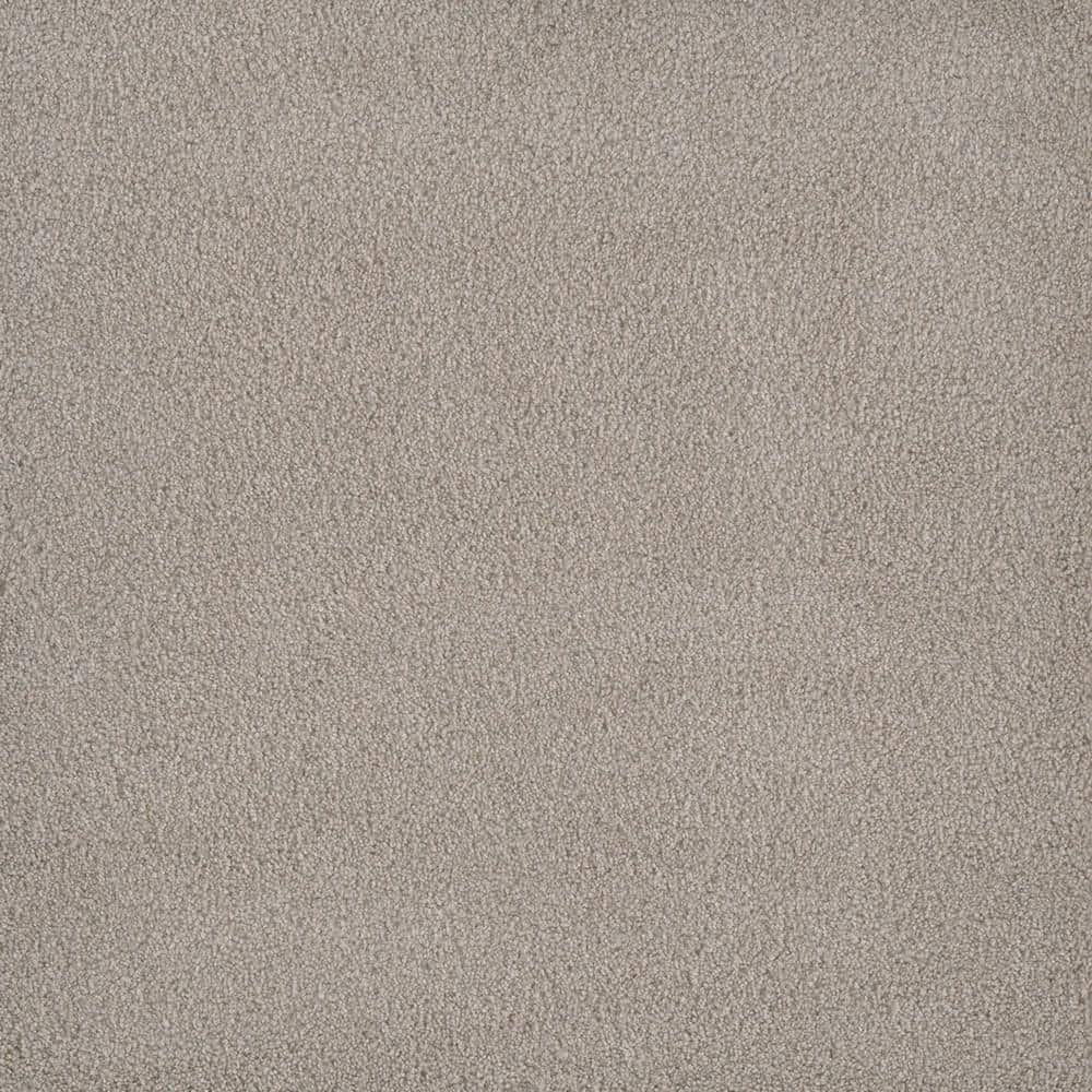 8 in. x 8 in. Texture Carpet Sample - First Class I -Color Daystar price history on PriceWatchPro