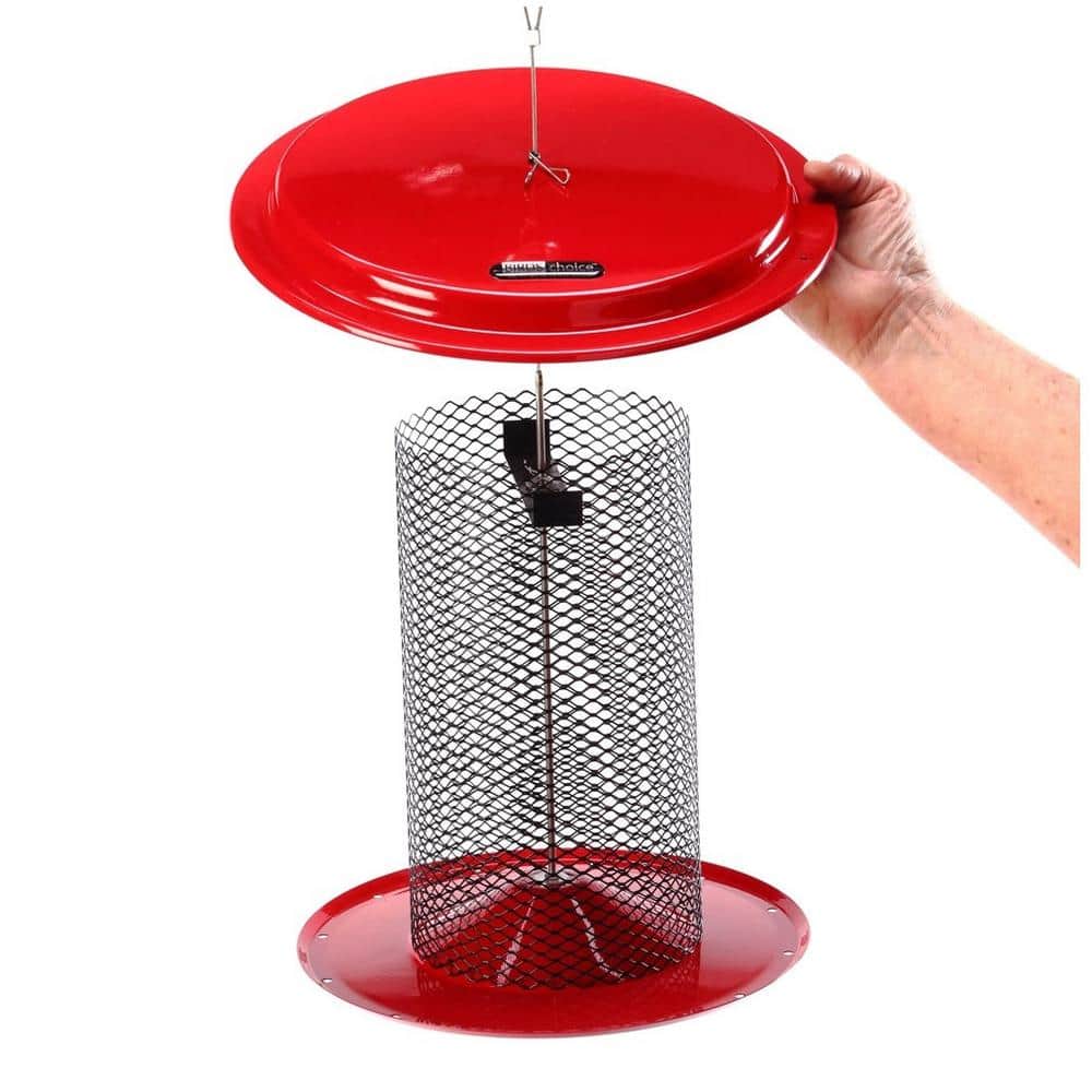 Green Metal Hanging Mesh Bird Feeder for Sunflower Seeds