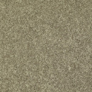 Palmdale I - Sunwashed Sage - Green 17.6 oz. Polyester Texture Installed Carpet
