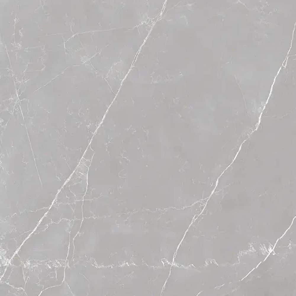 Regalia 4 x 5 in. Ash Gray Matte Color Body Porcelain Marble-look Vein Large Tile Sample price history on PriceWatchPro