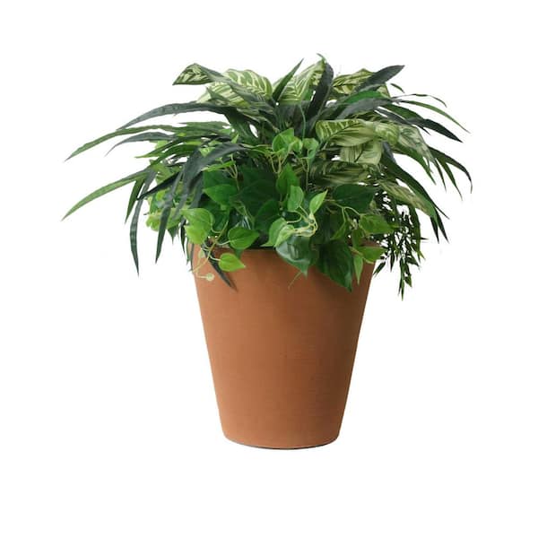 Algreen Olympus Self-Watering 17 in. H x 16 in. Terra Cotta Plastic Planter