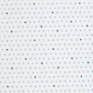 Ditsy Stars Blue Non-Pasted Wallpaper Roll (Covers 52 sq. ft.)