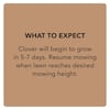 scotts-grass-seed-18013-1-1d.4
