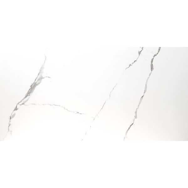 MSI Ader Tegel 24 in. x 48 in. Polished Porcelain Floor and